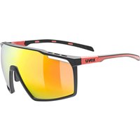 Uvex MTN Perform Sportbrille von Uvex