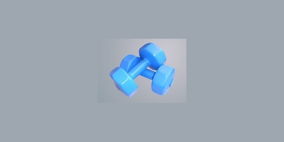 V3Tec Hantel NOS Gymnastikhantel V3Tec Hantel NOS Gymnastikhantel von V3Tec