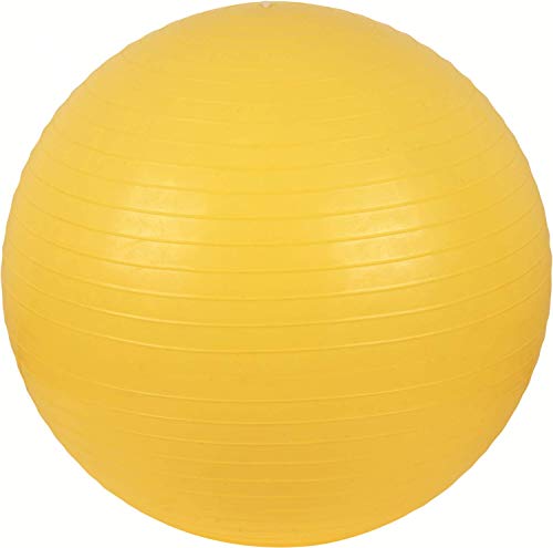 V3Tec Gymnastikball gelb 65 cm V3Tec Gymnastikball gelb 65 cm von V3tec
