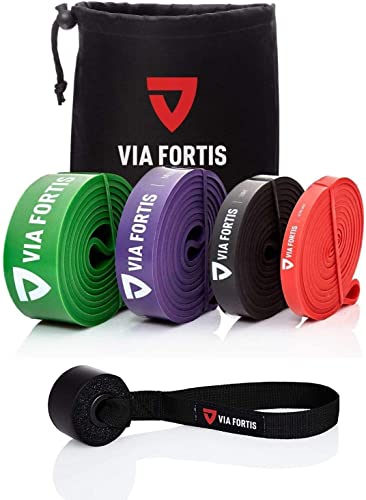 VIA FORTIS Premium Resistance Bands + Übungsanleitung und Tasche - Widerstandsbänder/Klimmzugband und Klimmzughilfe/Fitnessband/Trainings-Bänder für Fitness & Krafttraining VIA FORTIS Premium Resistance Bands + Übungsanleitung und Tasche - Widerstandsbänder/Klimmzugband und Klimmzughilfe/Fitnessband/Trainings-Bänder für Fitness & Krafttraining von VIA FORTIS