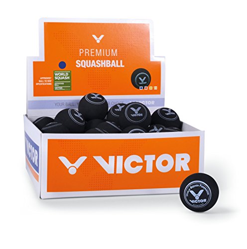 Victor Squashball, 36er Karton, Blau Victor Squashball, 36er Karton, Blau von VICTOR