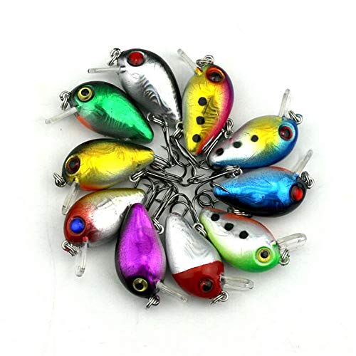 VOANZO 10 PCS Angelköder Köder Tackle, Simulation Farbe Hartfischköder, Bionic Fake Bait Angelzubehör, Outdoor-Angelzubehör VOANZO 10 PCS Angelköder Köder Tackle, Simulation Farbe Hartfischköder, Bionic Fake Bait Angelzubehör, Outdoor-Angelzubehör von VOANZO
