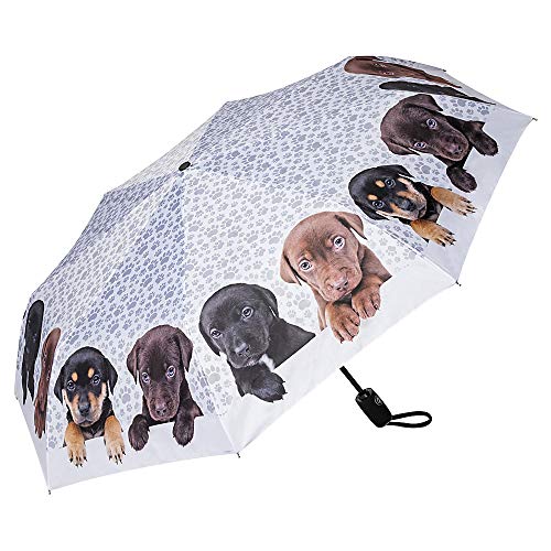 VON LILIENFELD Regenschirm Taschenschirm Welpenquartett Windfest Auf-Zu-Automatik Kinderschirm Stabil Leicht Kompakt VON LILIENFELD Regenschirm Taschenschirm Welpenquartett Windfest Auf-Zu-Automatik Kinderschirm Stabil Leicht Kompakt von VON LILIENFELD