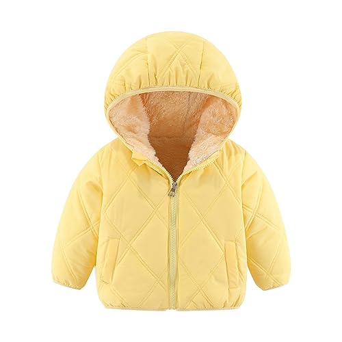 Valcatch Jungen und Mädchen Winter Oberbekleidung Kleine Kinder Kapuze Reißverschluss Puffer Wattierte Jacke Kleinkind Daunen Alternative Mäntel für 18M-6T von Valcatch