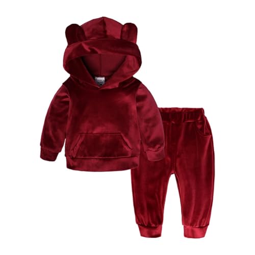 Valcatch Kleinkind Jungen Mädchen Samt Kleidung Sets Hoodies Langarm Sport Outfits Elastische Taille Jogginghose Set 2Pcs Hosen Sets von Valcatch