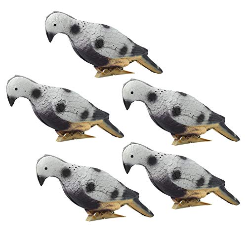 5pcs 3D Pigeon Decoy lebensechter Schaum Tierköder Ziel Dekoration Schießziele lebensechtes Schaumbogenschießen von Vbest life