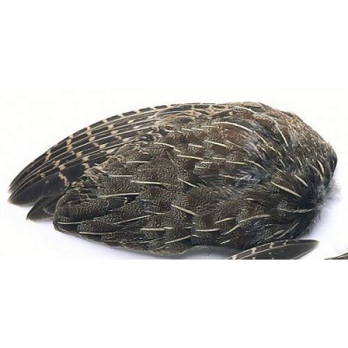 Veniard Englische Rebhuhnflügel, Federn zum Fliegenbinden, 2 Stück Veniard Englische Rebhuhnflügel, Federn zum Fliegenbinden, 2 Stück von Veniard
