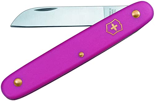 Victorinox Blumenmesser, Garten, Schweizer Taschenmesser, Gärtner und Floristen, Klinge, gerade, pink von Victorinox