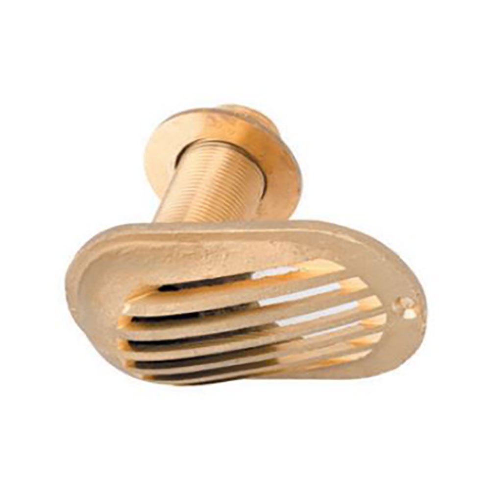 Vitrifrigo Brass Sea Water Intak 3/4´´ M Grid Golden Vitrifrigo Brass Sea Water Intak 3/4´´ M Grid Golden von Vitrifrigo
