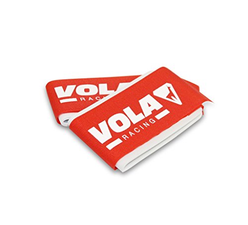 EIN Paar Alpine Skiclips. EIN Paar Alpine Skiclips. von Vola