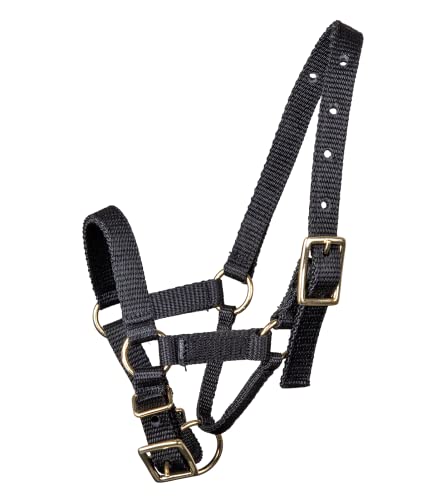 WALDHAUSEN Alpaka Halfter, L, schwarz WALDHAUSEN Alpaka Halfter, L, schwarz von WALDHAUSEN