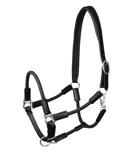 WALDHAUSEN Halfter Nevada, VB, schwarz WALDHAUSEN Halfter Nevada, VB, schwarz von WALDHAUSEN