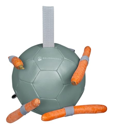 WALDHAUSEN Karottenball, grün WALDHAUSEN Karottenball, grün von WALDHAUSEN