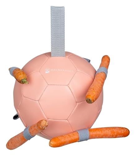 WALDHAUSEN Karottenball, rosa WALDHAUSEN Karottenball, rosa von WALDHAUSEN