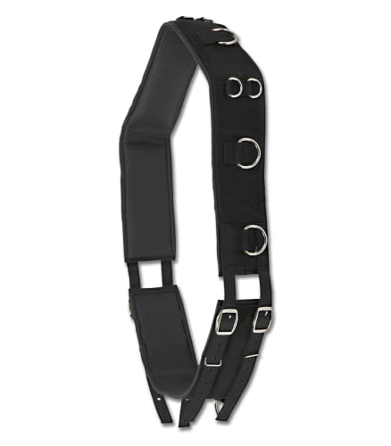 WALDHAUSEN Longiergurt Nylon WALDHAUSEN Longiergurt Nylon von WALDHAUSEN