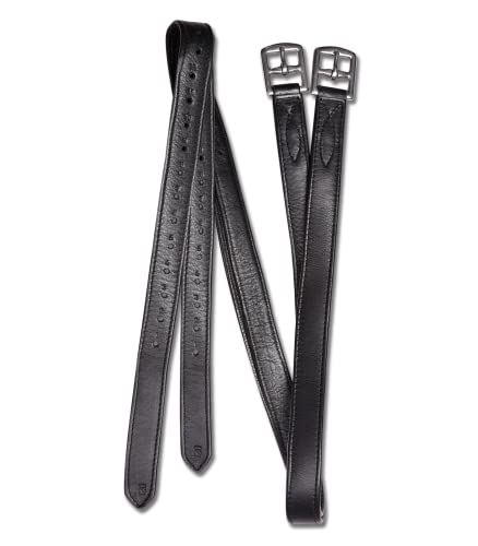 WALDHAUSEN Steigbügelriemen X-Line Soft, 160 cm, schwarz WALDHAUSEN Steigbügelriemen X-Line Soft, 160 cm, schwarz von WALDHAUSEN