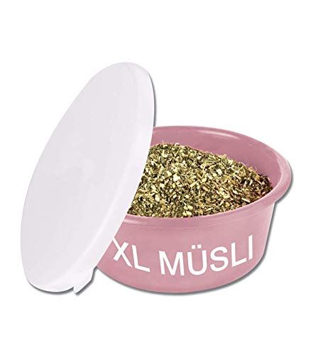 WALDHAUSEN XL Müsli-Schale mit Deckel, puderrosa WALDHAUSEN XL Müsli-Schale mit Deckel, puderrosa von WALDHAUSEN