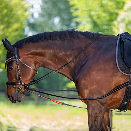 Waldhausen W-TRAINREIN Leder-Dreieckszügel: Reitzubehör, Longierzubehör, flexible Ausbinder für Pferdeausbildung, Reithilfe und Pferdegymnastik, PON, schwarz Waldhausen W-TRAINREIN Leder-Dreieckszügel: Reitzubehör, Longierzubehör, flexible Ausbinder für Pferdeausbildung, Reithilfe und Pferdegymnastik, PON, schwarz von WALDHAUSEN