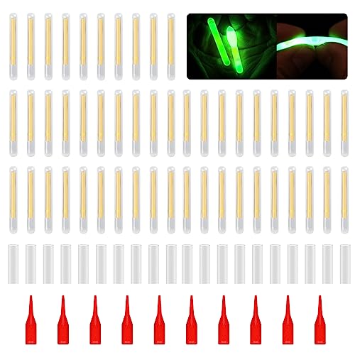 WASTEBIN 50 Stück Leuchtstäbe Mit Leuchtender Spitze Langlebig Leuchtende Angelrute Fihisng Grün Fluoreszierende Leuchtstäbe Leuchtstäbe von WASTEBIN