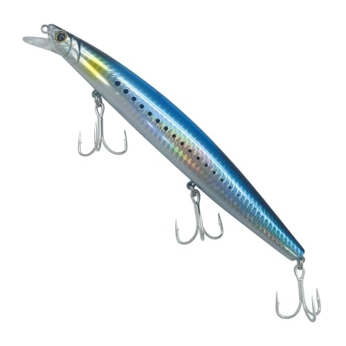 WASTEBIN Minnow Angelköder Crankbait Swimbait 16 cm Angelgerät Schwimmende Harte Köder Wobbler Für Süßwasser Salzwasser von WASTEBIN