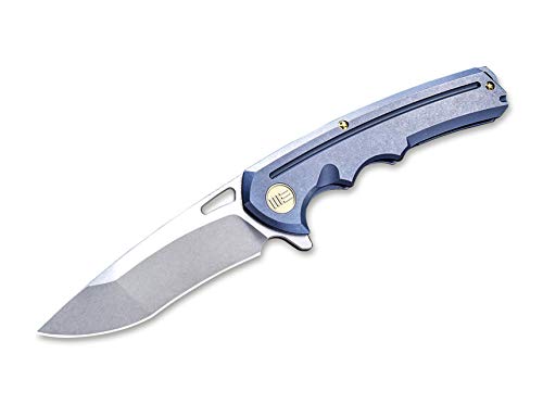 WE Knife Unisex – Erwachsene 611D Taschenmesser, blau, 9.5 WE Knife Unisex – Erwachsene 611D Taschenmesser, blau, 9.5 von WE