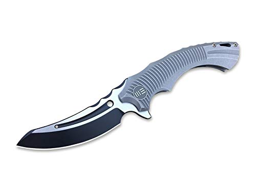 WE Knife Unisex – Erwachsene 713C Sea Monster Taschenmesser, blau, 8.4 WE Knife Unisex – Erwachsene 713C Sea Monster Taschenmesser, blau, 8.4 von WE