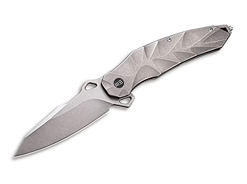WE Knife Unisex – Erwachsene Hecate Grey Taschenmesser, Grau, 23.3 WE Knife Unisex – Erwachsene Hecate Grey Taschenmesser, Grau, 23.3 von WE