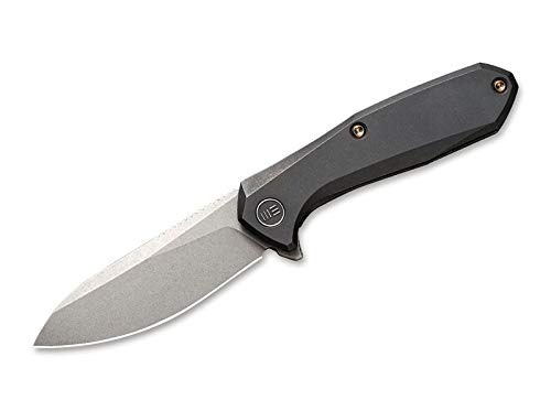 WE Knife Unisex – Erwachsene Mote Black Taschenmesser, Schwarz, 15,7 cm WE Knife Unisex – Erwachsene Mote Black Taschenmesser, Schwarz, 15,7 cm von WE