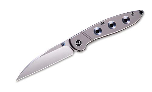 WE Knife Unisex – Erwachsene Schism Blue Taschenmesser, Blau, 17.1 WE Knife Unisex – Erwachsene Schism Blue Taschenmesser, Blau, 17.1 von WE