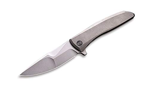 WE Knife Unisex – Erwachsene Scoppio Grey Taschenmesser, Grau, 20.8 WE Knife Unisex – Erwachsene Scoppio Grey Taschenmesser, Grau, 20.8 von WE