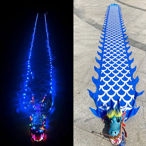 Dragon Dance Ribbon Seide zum Tanzen, Drache, bunt, LED-Drache, fließendes Band, beleuchteter Drache for den Außenbereich, leuchtender Sport- und Fitness-Schleuderdrache mit Kopf und Schaukelseil(Blue von WEITINGKKK