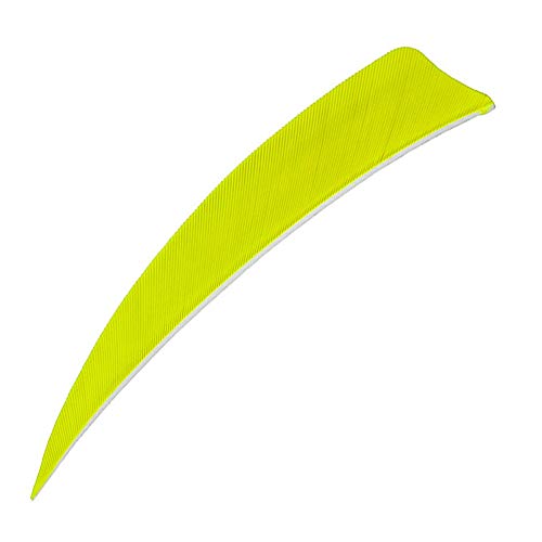 WEREWOLVES Pfeilfedern 3 "4" 5 "Truthahn-Feder Pfeil-Befiederung Feder Peltate Rechtsflügel Naturschaufeln für DIY-Pfeile-Befiederung (3 Zoll, fluoreszierend gelb) von WEREWOLVES