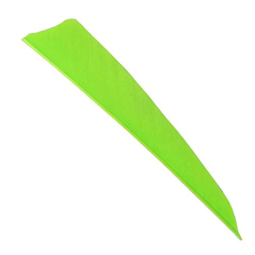 WEREWOLVES Pfeilfedern 3 "4" 5 "Truthahn-Feder Pfeil-Befiederung Feder Peltate Rechtsflügel Naturschaufeln für DIY-Pfeile-Befiederung (3 Zoll, fluoreszierend grün) von WEREWOLVES