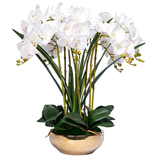 Dekor Künstliche Blumen mit Vase Künstliche Orchidee Gefälschte Blumen Phalaenopsis 8 Kopf Orchideen Kunstblumen mit goldener Vase Dekor für Hochzeit Wohnzimmer Schlafzimmer Blumenarrangement von WFRUEDWC