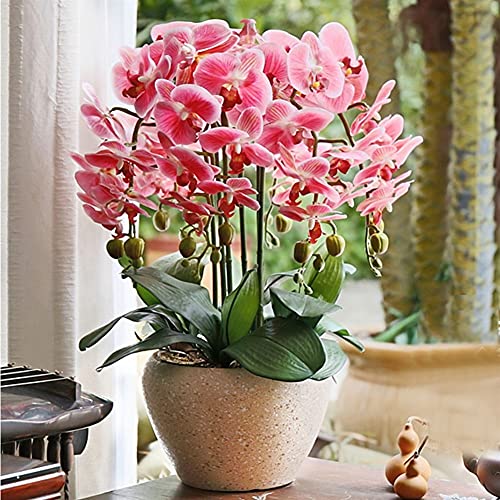 Dekor Künstliche Blumen mit Vase Künstliche Orchidee mit Vase, Kunstblume Phalaenopsis Kunstpflanzen für Zuhause Wohnzimmer Arrangements Dekoration Blau, Weiß, Rosa, 55cm Kunstblumen Arrangements von WFRUEDWC