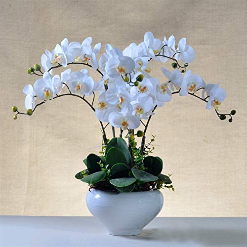 Dekor Künstliche Blumen mit Vase Künstliche Orchideenblüten in Vase Gefälschte Pflanze mit Topf Phalaenopsis Bonsai für Wohnzimmer-Mittelstücke Arrangements Dekoration Kunstblumenarrangements von WFRUEDWC