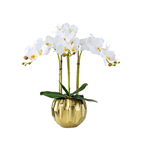 WFRUEDWC Künstliche Blumen und Orchideen im Topf – künstliche Orchideen als Dekoration, Phalaenopsis-Blumen in Einer geometrischen Vase, als Dekoration für Zuhause/Küche/Schlafzimmer/Esstisch. von WFRUEDWC