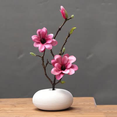 WFRUEDWC Kunstblume mit Topf, Orchidee, künstliche Magnolienblüte und Keramikvase, Seiden-Magnolienblumen-Flaschenset für Büro, Zuhause, Tafelaufsatz, Dekoration, Orchidee (S) von WFRUEDWC