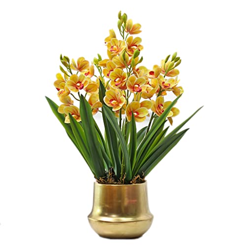 WFRUEDWC Kunstblume mit Topf Orchidee Künstliche Cymbidium-Blumen Set Realistische Phalaenopsis-Orchidee im goldenen Topf Wohnzimmer Büro Schlafzimmer Dekoration Orchidee (Gelb) Hallo von WFRUEDWC