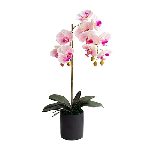 WFRUEDWC Kunstblume mit Topf Orchidee Künstliche Orchidee in Vase Kunstblumen mit Übertopf Einzelne Phalaenopsis Kunstblume für Wohnzimmer Orchidee (Rosa) von WFRUEDWC