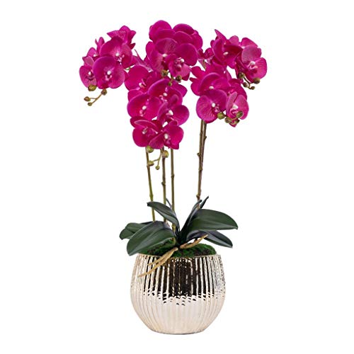 WFRUEDWC Kunstblumen-Set, Kunstblumen mit Übertopf, große Phalaenopsis, künstliche Orchidee in Vase, Kunstblume für Wohnzimmerarrangements, schöne Kunstblumen und Vasen (Farbe: G (B) von WFRUEDWC