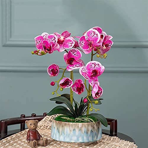 WFRUEDWC Kunstblumen-Set, künstliche Orchideenblüten in Vase, Bonsai, Phalaenopsis, Kunstpflanze mit Topf, für Wohnzimmer-Mittelstücke, Arrangements, Dekoration, schöne Kunstblumen und (D) von WFRUEDWC