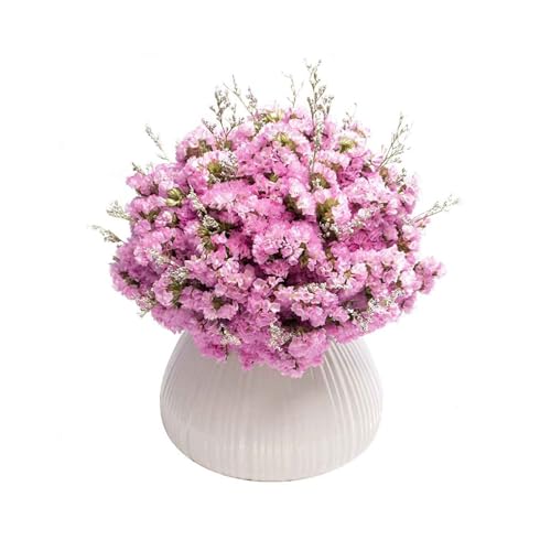 WFRUEDWC Realistische künstliche Blume, künstliche Schleierkraut-Blume mit Vase, getrocknete Blumen, Dekoration für Zuhause, Küche, Büro, Hotel von WFRUEDWC