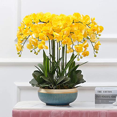 WFRUEDWC künstliche Blume mit Topf Orchidee Kunstblumen Phalaenopsis Topfpflanzen Orchideen-Set für Heimdekoration Ornament Kunstblumen Indoor-Orchidee (Gelb) Hallo von WFRUEDWC