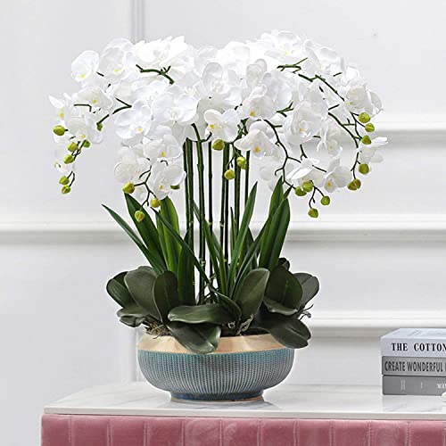 WFRUEDWC künstliche Blume mit Topf Orchidee Kunstblumen Phalaenopsis Topfpflanzen Orchideen-Set für Heimdekoration Ornament Kunstblumen Indoor-Orchidee (weiß) Hallo von WFRUEDWC