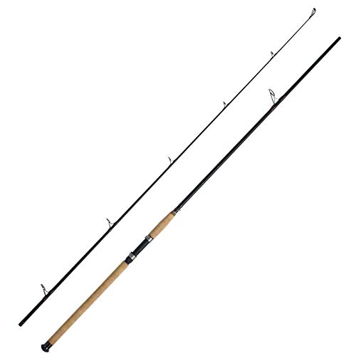 WFT Charisma Power II LTC 2,20m 120-420g Bootsrute WFT Charisma Power II LTC 2,20m 120-420g Bootsrute von WFT