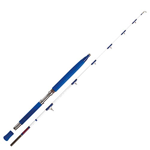 WFT Electra Speed JIG 2,00m 30lbs Pilkrute Bootsrute WFT Electra Speed JIG 2,00m 30lbs Pilkrute Bootsrute von WFT