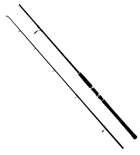WFT High Carbon NC Jig & Pilk 2,45m 30-110g WFT High Carbon NC Jig & Pilk 2,45m 30-110g von WFT