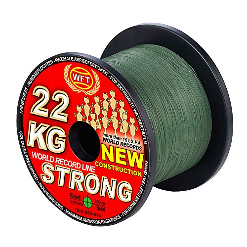 WFT KG Strong 600m 0,25mm 39kg, geflochtene Schnur, Meeresschnur, Angelschnur, Geflechtschnur, Farbe:Grün von WFT