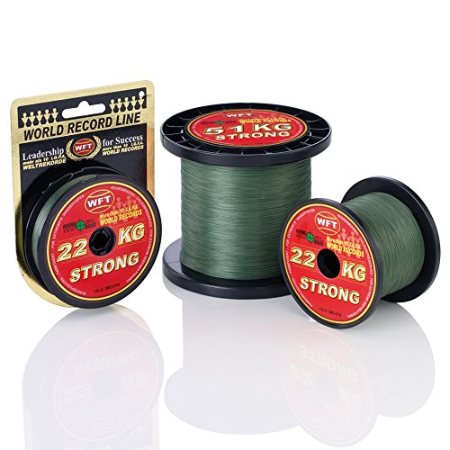 WFT KG Strong Schnur 300m 0,22mm 32kg, Farbe:Grün von WFT